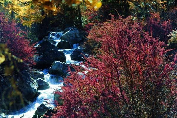 逃出塞里洛斯村